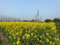 -桤木河湿地公园