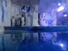 -多彩贵州城极地海洋世界