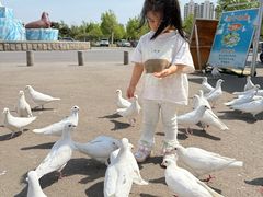 -泉城欧乐堡海洋极地世界