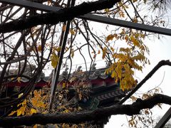 -红螺寺