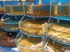 水产区-仙螺岛海鲜自助餐厅(总店)