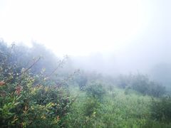 -驼梁风景区