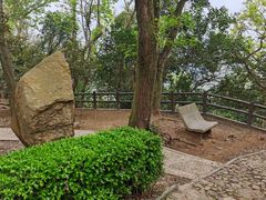 -上海佘山国家森林公园天马山园