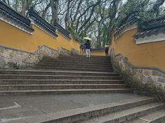 -普陀山风景名胜区-法雨禅寺
