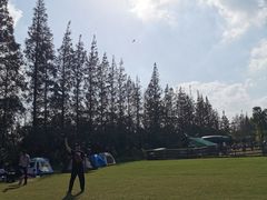 -前小桔亲子创意农场·草莓采摘·露营烧烤