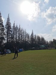 -前小桔亲子创意农场·草莓采摘·露营烧烤