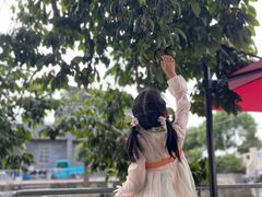 -喜洋洋蟹庄(阳澄湖店)