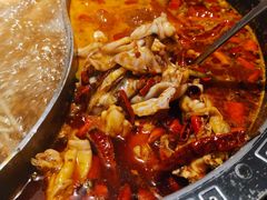 -销魂美蛙鱼头火锅(上海首店)