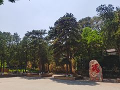 -阳台山自然风景区