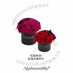 -广州纽伯利公关策划有限公司(邦华环球广场店)