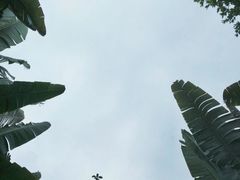 -碧桂园润杨溪谷温泉酒店