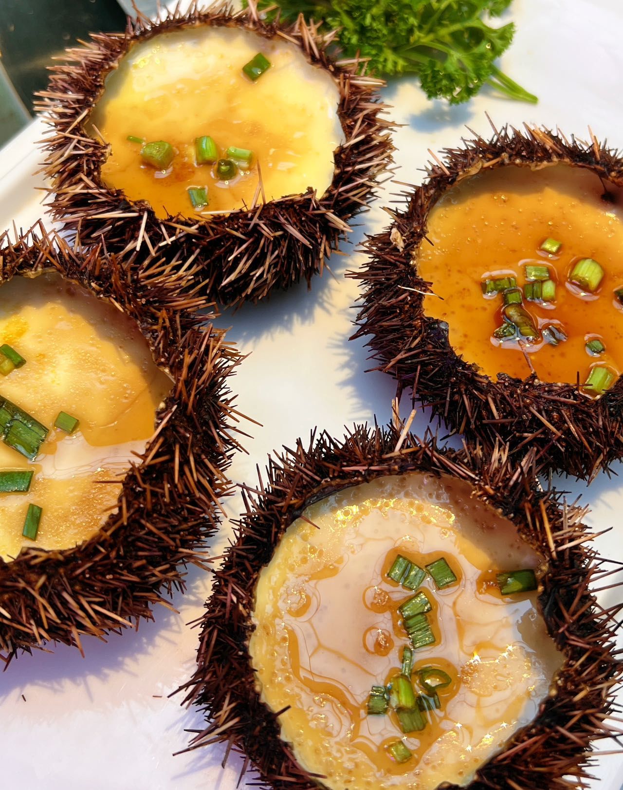 多次打卡的美味海南菜