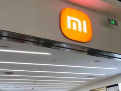 -小米之家汽车(永旺梦乐城店)