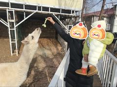 -丽泽山庄·生态怀柔菜·虹鳟鱼(红螺寺店)