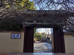 -庾园