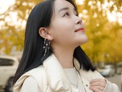 -三里屯东五街银杏大道