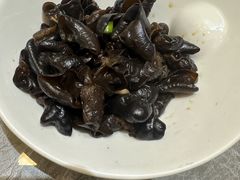 -老绍兴养和饭店(向阳不夜城店)