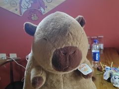 -可爱抓 COCO  GOTCHA(天津鹏欣水游城店)