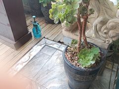 -福照楼汽锅鸡·云南菜(万达广场店)