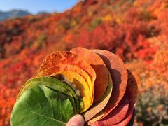 -周口店坡峰岭风景区