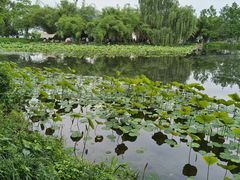 -金银湖国家城市湿地公园