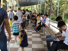 -广东茂名森林公园