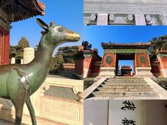 -清东陵