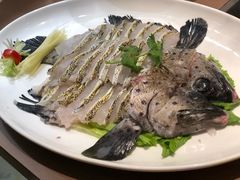 -協成海鮮火鍋(老店)