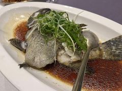-顺峰(农展馆店)