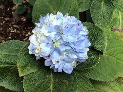 -聚·咖啡(南国奥园店)