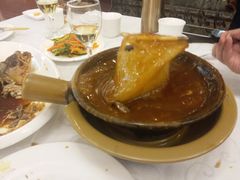 -鱼翅楼·津派砂锅鱼翅(水上公园店)