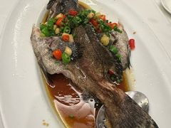 青花椒蒸龙趸-唐宫·粤菜海鲜(万象城店)
