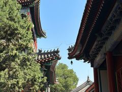 -北京艺术博物馆(万寿寺)