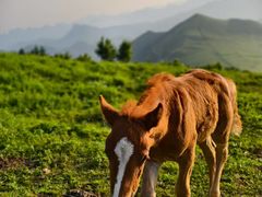 -灵山