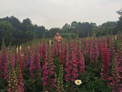 iphone_upload_pic-保利石象湖景区
