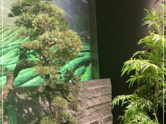 -湘邻呷铺·田园家宴(汉基广场店)