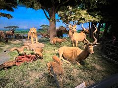 -国家自然博物馆