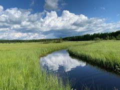 -塞罕坝国家级自然保护区