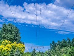 -黑龙江省森林植物园