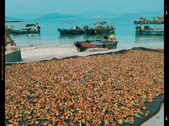 -三亚西岛海洋文化旅游区