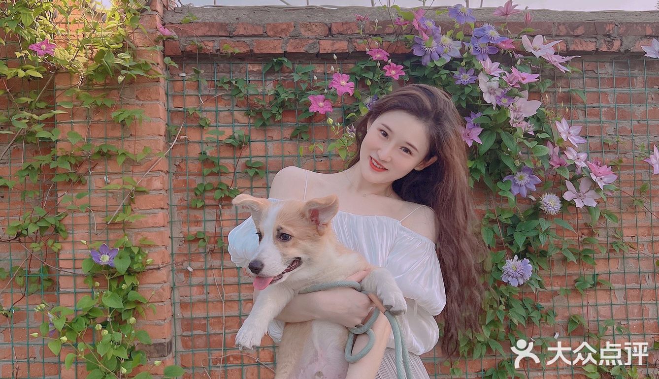 晚风悠然、跌入了花的时间。