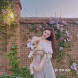 晚风悠然、跌入了花的时间。