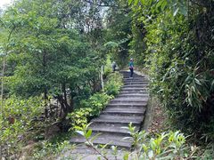 -广州白江湖森林公园