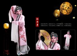 -胭脂猫京剧摄影