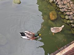 -贵人御膳