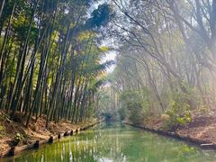 -同里国家湿地公园