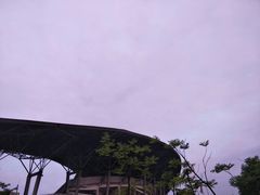 -株洲市体育中心体育场