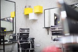 -SALON V