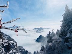-老君山风景名胜区