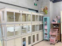 -十年猫舍·猫咪专门店(普陀店)
